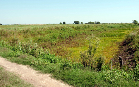 Terraplen río Paraná